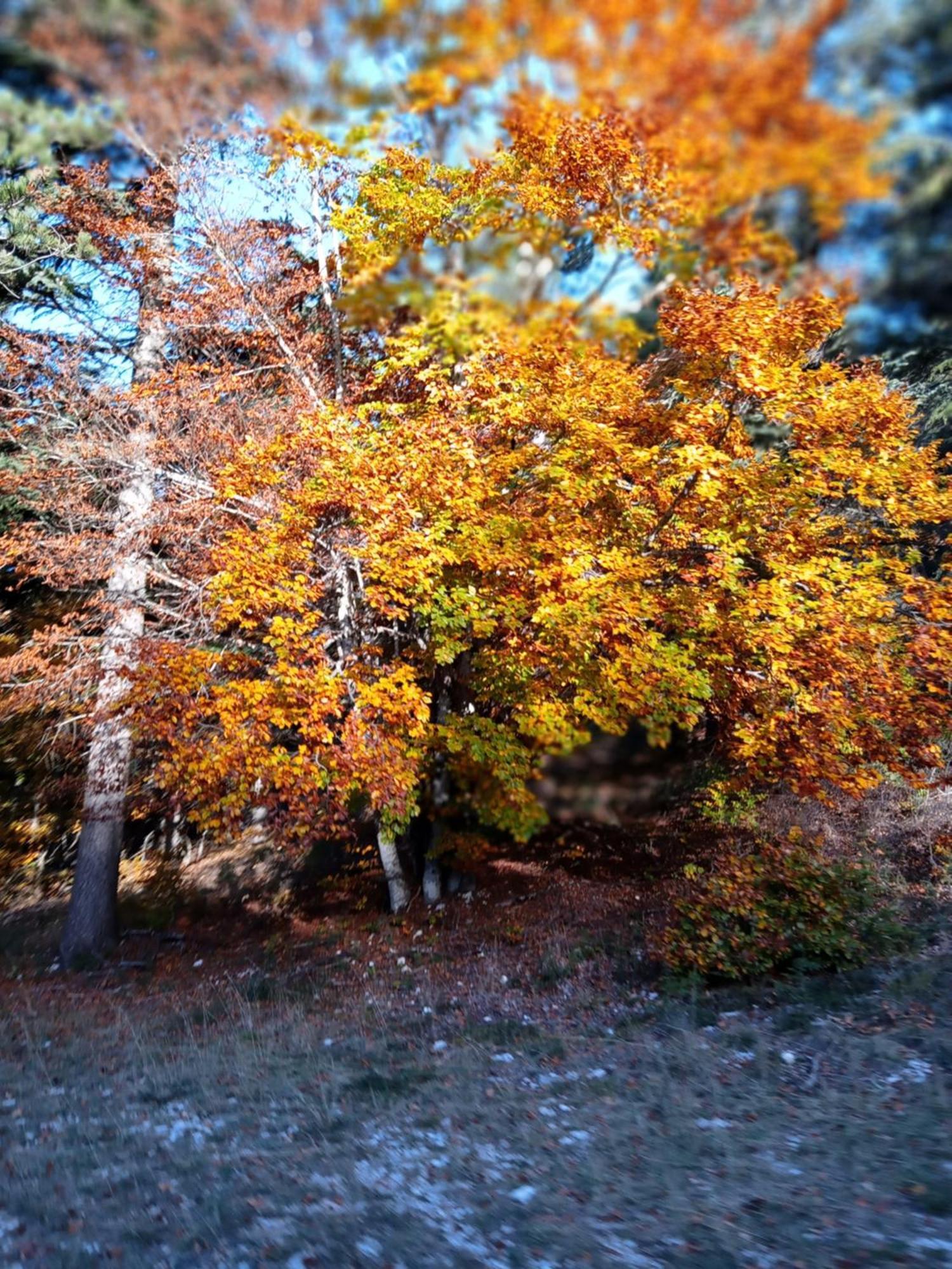 Les Gites Du Mont Ventoux Bédoin Esterno foto